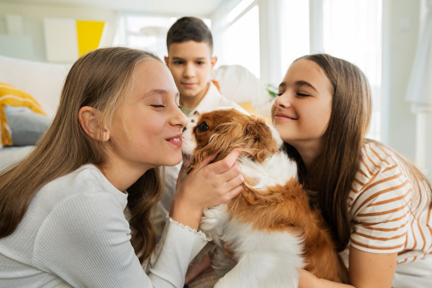 Cover Image for Como Escolher o Pet Ideal para sua Família: Um Guia Completo e Cheio de Amor! 🐾❤️